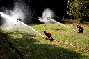 (1072 zobrazení )