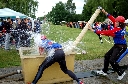(324 zobrazení )