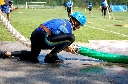 (342 zobrazení )