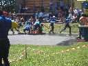 (212 zobrazení )