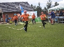 (320 zobrazení )