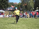 (231 zobrazení )