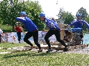 (159 zobrazení )