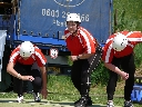 (162 zobrazení )