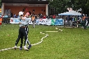 (178 zobrazení )