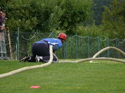 (109 zobrazení )