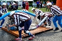 (923 zobrazení )