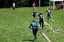 (875 zobrazení )
