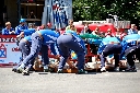 (478 zobrazení )