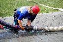 (441 zobrazení )
