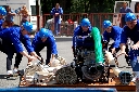 (362 zobrazení )