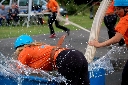 (386 zobrazení )